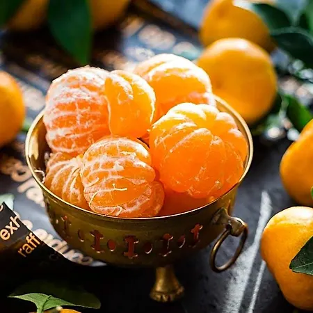 فندق Euroclub خليج سانت بول